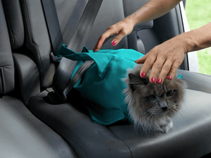 Cat Travel Pouch
