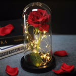 Beauty And Beast Rose In Flask Led Rose Flower Light Black Base Glass Dome Best For Mother's Day Valentines Day Gift