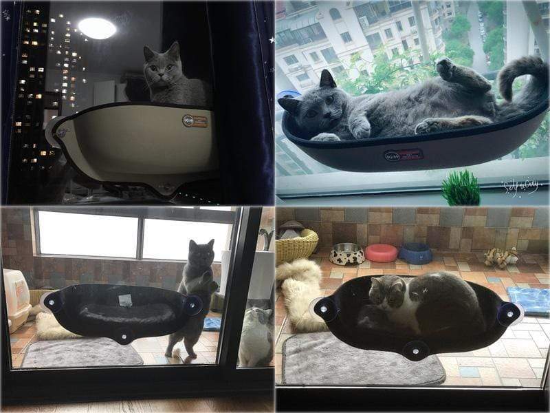 Cat Window Perch Seat