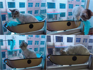 Cat Window Perch Seat