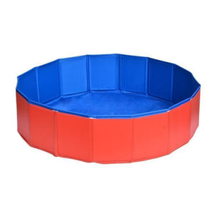 Dog Swimming Pool