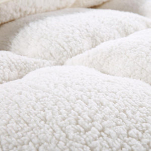 4Kg Thicken Lamb Cashmere Blanket