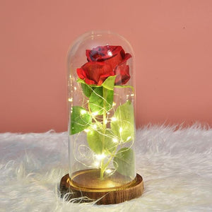 Rose In Glass  Led Night Light Beauty And The Beast Little Prince Valentine's Day Gift artificial flower